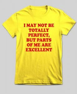 I may not totally perfect t shirt