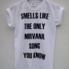 Smells Like The Only Nirvana Song You Know T-Shirt