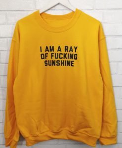 I am a ray of fucking sunshine Sweatshirt