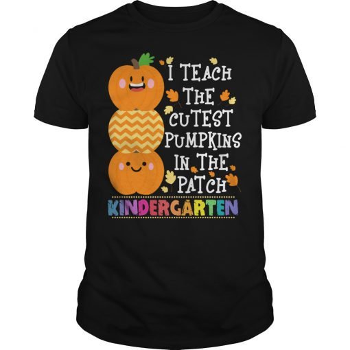 I teach the cutest pumpkins in the patch Kindergarten T-shirt