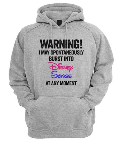 Warning I May Spontaneously Burst Into Disney Songs At Any Moment Hoodie