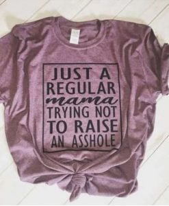 Just A Regular Mama Trying Not To Raise An Asshole T Shirt