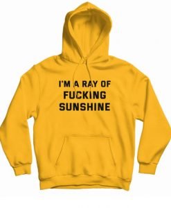 I'm A Ray Of Fucking Sunshine Hoodie